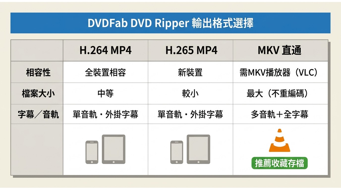 H.264 MP4、H.265 MP4與MKV的相容性、容量及字幕音軌比較